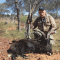 Best .22-250 Rifle Is Here!